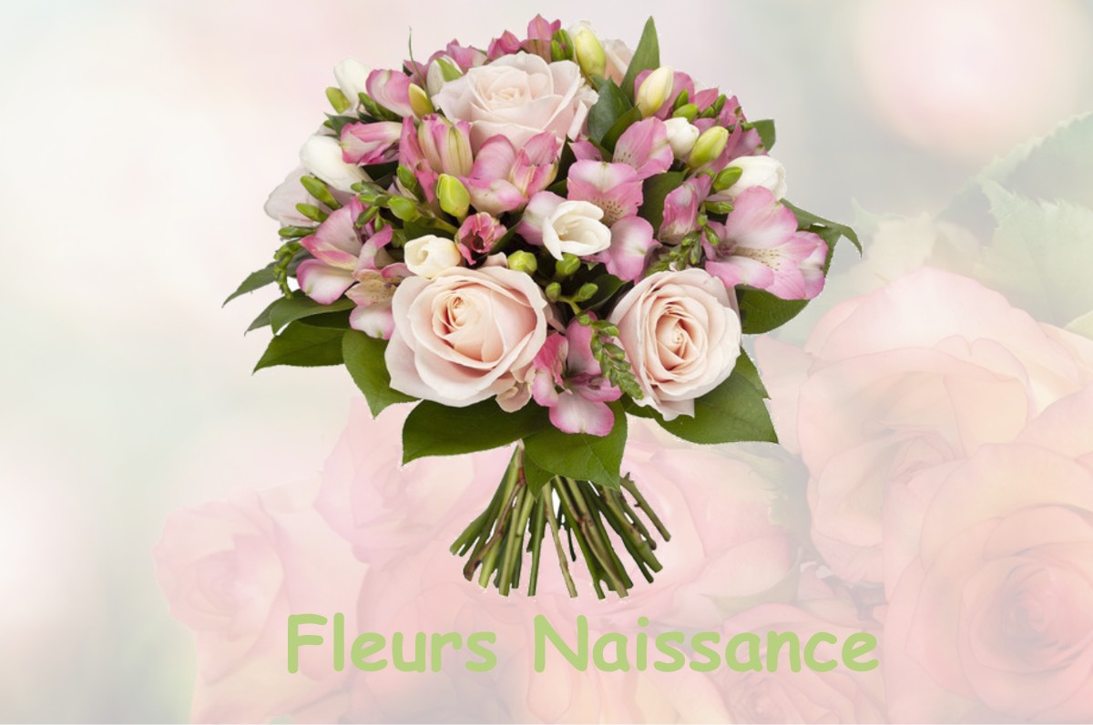 fleurs naissance VILLENEUVE-LA-GARENNE