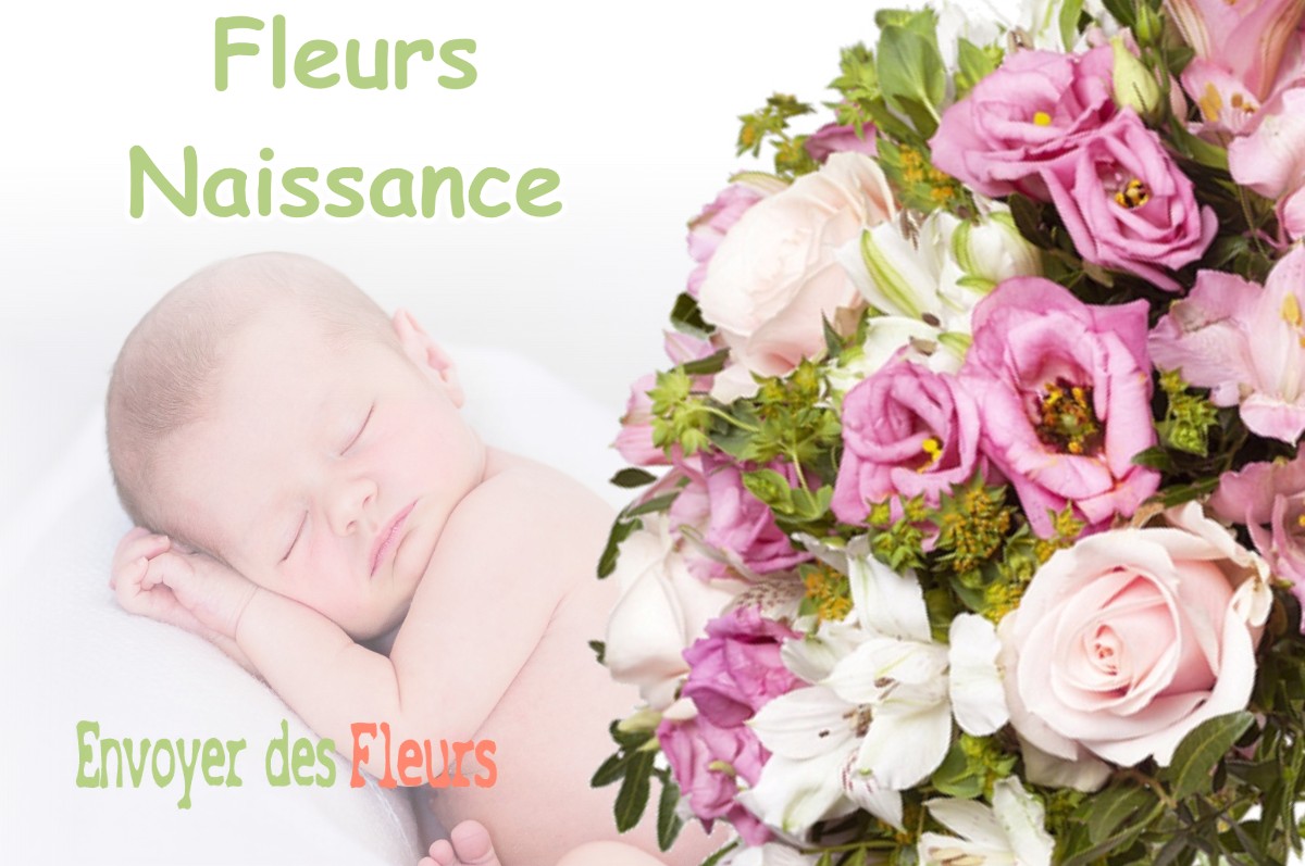 lIVRAISON FLEURS NAISSANCE à VILLENEUVE-LA-GARENNE